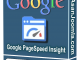 Google Pagespeed Insight1