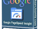 Google Pagespeed Insight1 T